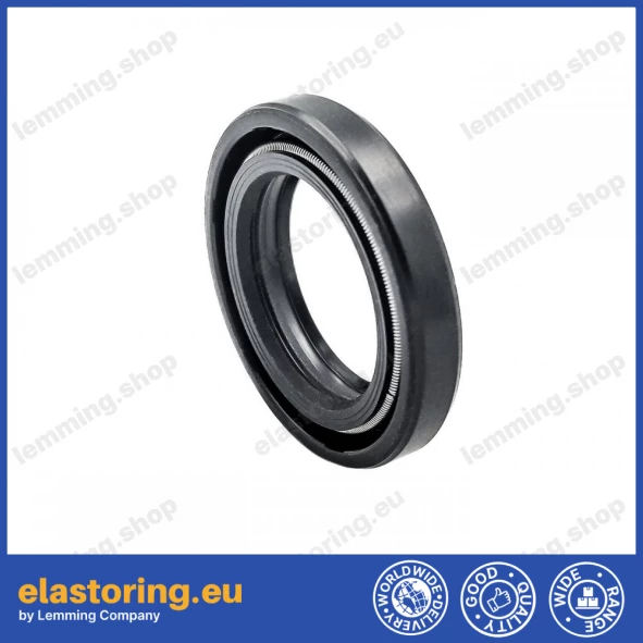 Oil seal 20x30x5/6 BASLX27 NBR
