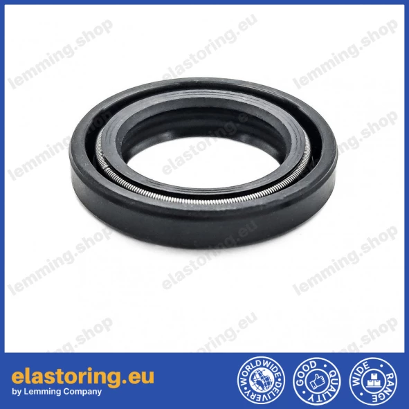 Oil seal 20x30x5/6 BASLX27 NBR