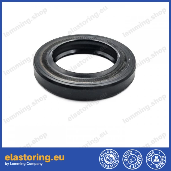 Oil seal 20x30x5/6 BASLX27 NBR