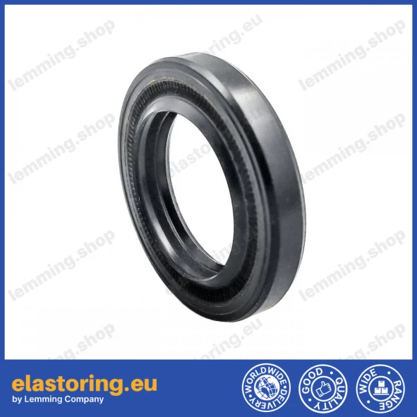 Oil seal 20x30x5/6 BASLX27 NBR
