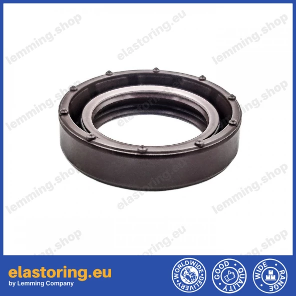 Oil seal 20x30x7 BASL FPM
