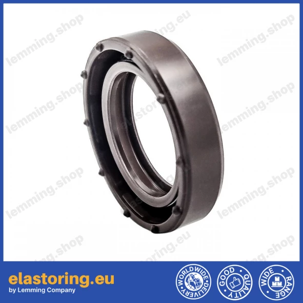 Oil seal 20x30x7 BASL FPM
