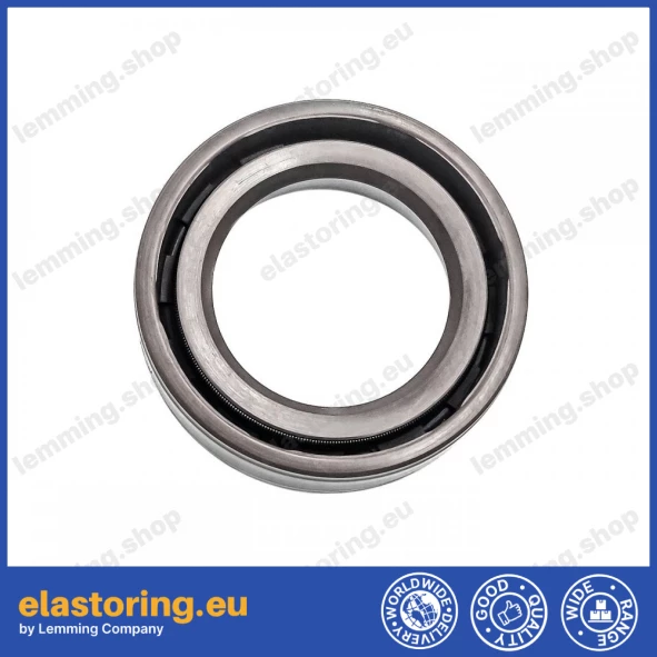 Oil seal 20x30x7 SC FPM Oil seal 20x30x7 SC FPM