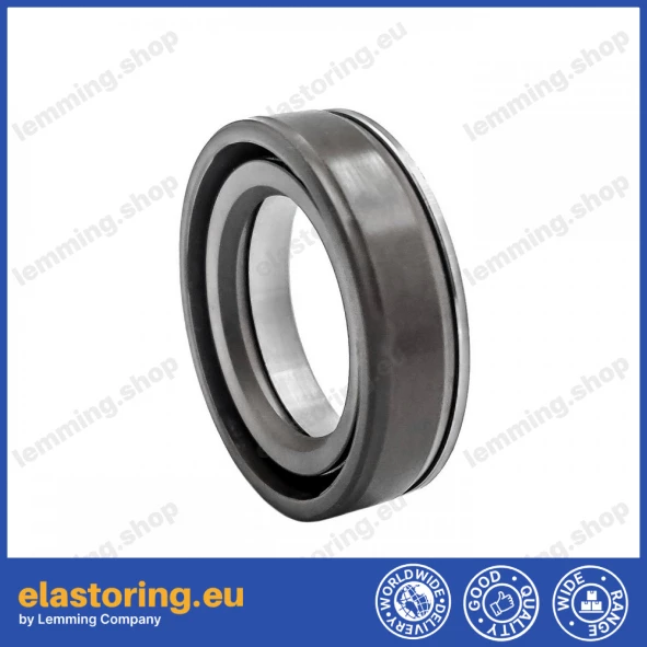 Oil seal 20x30x7 SC FPM Oil seal 20x30x7 SC FPM