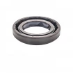 Oil seal 22x35x6 BAFSL1F FPM Oil seal 22x35x6 BAFSL1F FPM