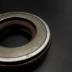 Pressure oil seal 22x42x11 TCN1 FPM Pressure oil seal 22x42x11 TCN1 FPM