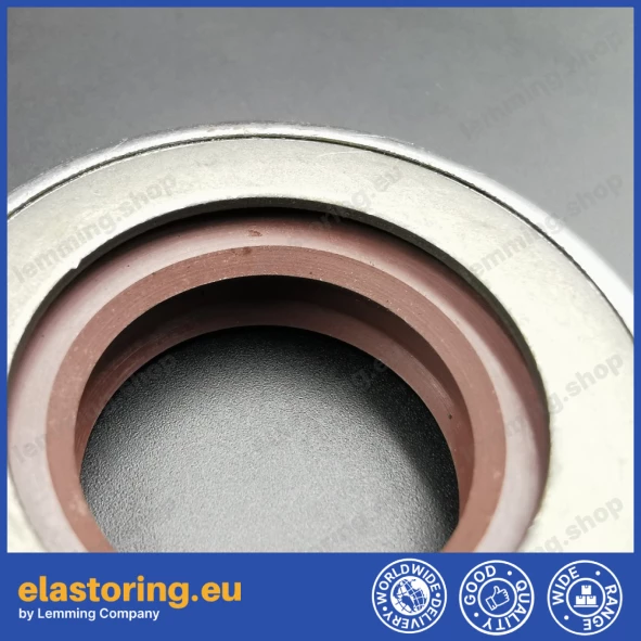 Pressure oil seal 22x42x11 TCN1 FPM Pressure oil seal 22x42x11 TCN1 FPM