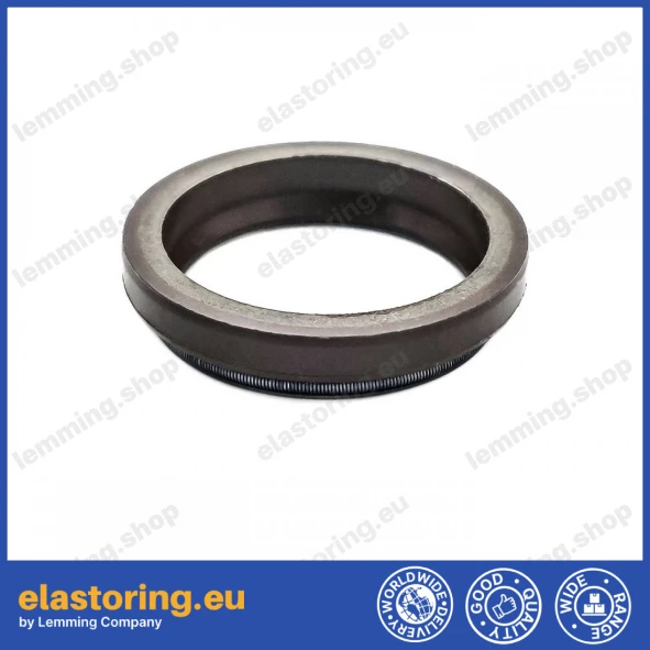 Oil seal 23,3x29,7x4/6,5 HTC FPM Oil seal 23,3x29,7x4/6,5 HTC FPM