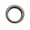 Oil seal 23,3x29,7x4/6,5 HTC FPM Oil seal 23,3x29,7x4/6,5 HTC FPM