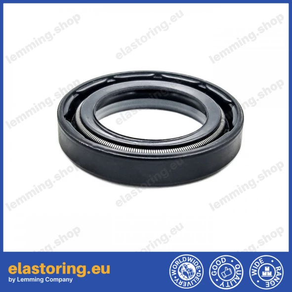 Oil seal 23x34,3x6,35 B1BAVISLRSX7 Oil seal 23x34,3x6,35 B1BAVISLRSX7