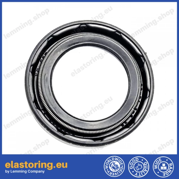 Oil seal 23x34,3x6,35 B1BAVISLRSX7 Oil seal 23x34,3x6,35 B1BAVISLRSX7