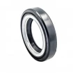 Oil seal 23x34,3x6,35 B1BAVISLRSX7 Oil seal 23x34,3x6,35 B1BAVISLRSX7
