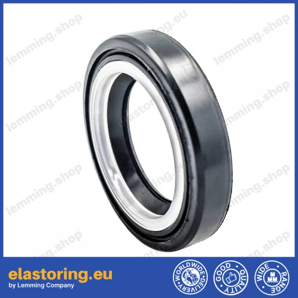 Oil seal 23x34,3x6,35 B1BAVISLRSX7 Oil seal 23x34,3x6,35 B1BAVISLRSX7