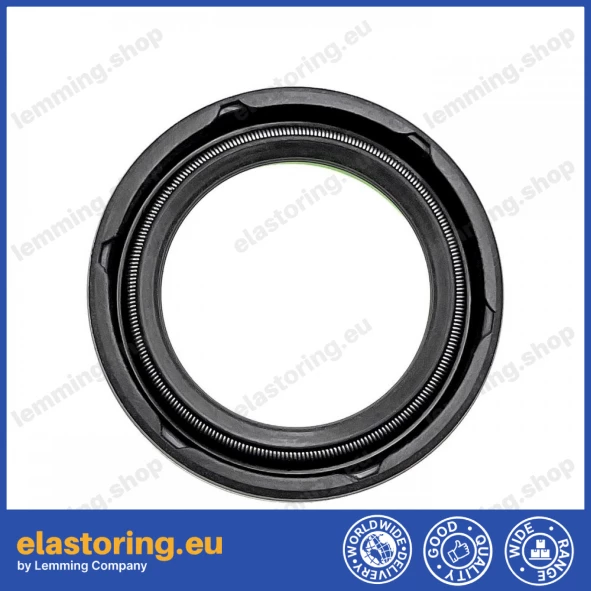 Oil seal 24x34x7 19A NBR