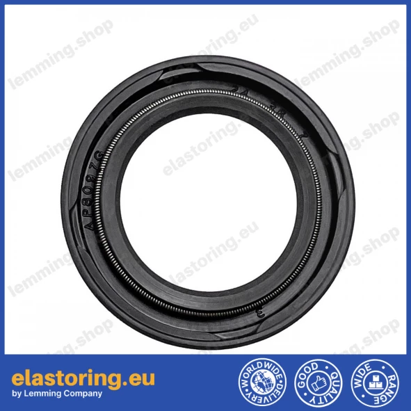 Oil seal 24x36x7 19A NBR [AP8097G]