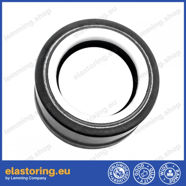 Oil seal 24x36x8,5/17,7 ASL