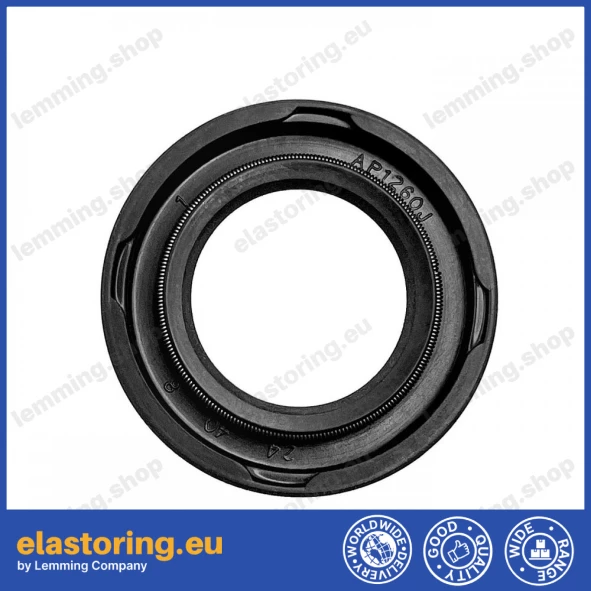 Oil seal 24x40x8 19A NBR