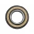 Oil seal 24x43x7 19A NBR [BP3050F]