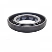 Oil seal 25,38x44,42x7,16 HMSA110 FPM 534282