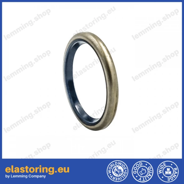 Oil seal 25,4x31,75x3 B1OF NBR Oil seal 25,4x31,75x3 B1OF NBR