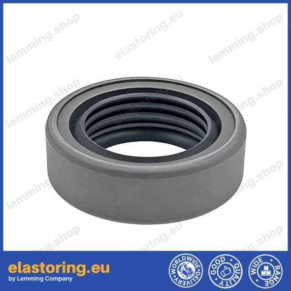 Oil seal 25,4x38,1x11 B2PT Q215+PTFE
