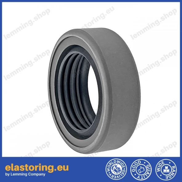 Oil seal 25,4x38,1x11 B2PT Q215+PTFE
