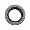 Oil seal 25,4x38,1x11 B2PT Q215+PTFE