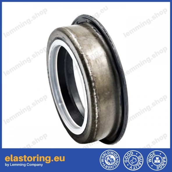Oil seal 25x35/40x8,3/9,6 B1SF NBR Oil seal 25x35/40x8,3/9,6 B1SF NBR