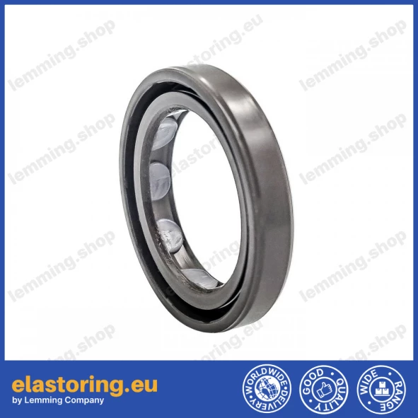 Oil seal 25x35x6 BAFSLSF FPM