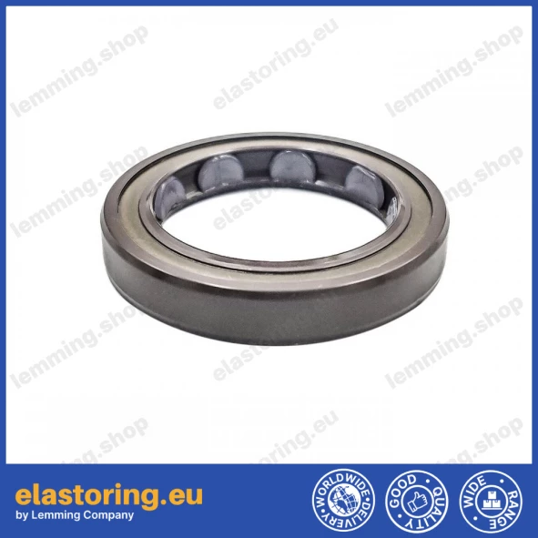 Oil seal 25x35x6 BAFSLSF FPM
