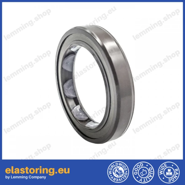 Oil seal 25x35x6 BAFSLSF FPM