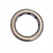 Oil seal 25x35x6 BAFSLSF FPM