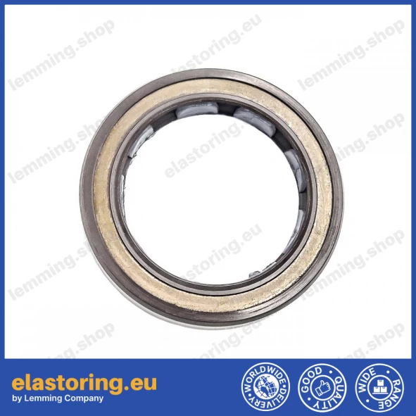 Oil seal 25x35x6 BAFSLSF FPM