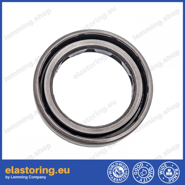 Oil seal 25x35x6 BAFSLSF FPM