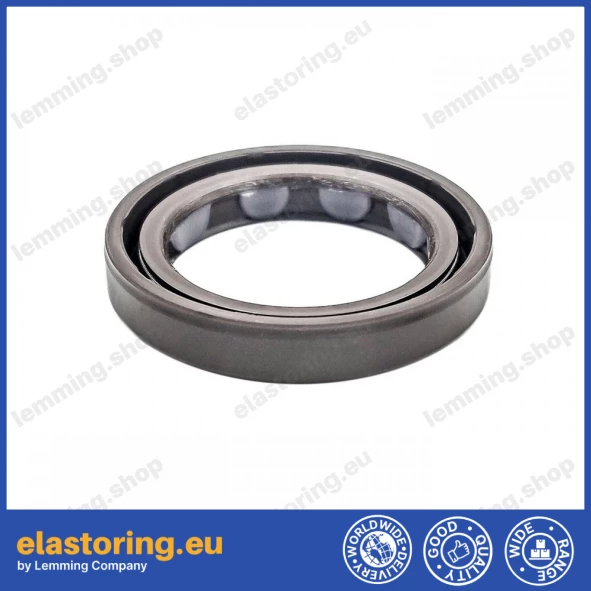 Oil seal 25x35x6 BAFSLSF FPM