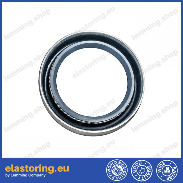 Oil seal 25x36x7 B1 NBR Oil seal 25x36x7 B1 NBR