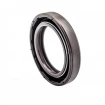 Oil seal 25x37x6 BAVISLX7 FPM Oil seal 25x37x6 BAVISLX7 FPM