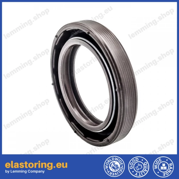 Oil seal 25x37x6 BAVISLX7 FPM Oil seal 25x37x6 BAVISLX7 FPM