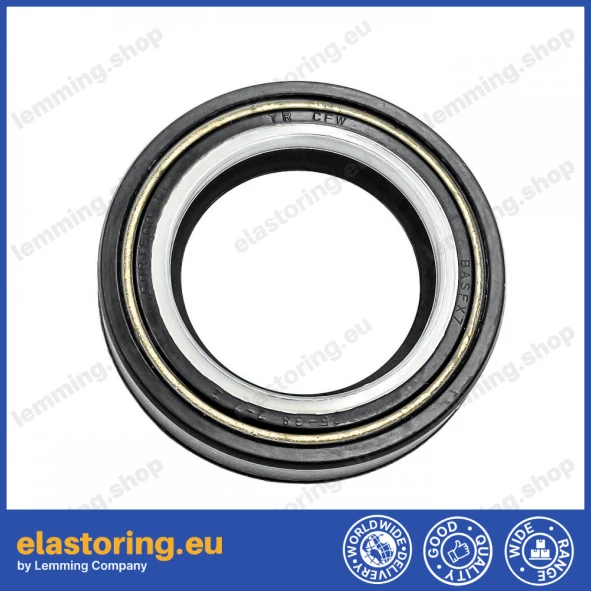 Oil seal 25x38,2x7,2 BAOFSF