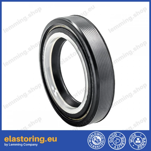 Oil seal 25x38,2x7,2 BAOFSF