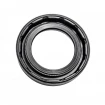 Oil seal 25x38,2x7,2 BAOFSF