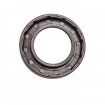 Oil seal 25x42x6 BAVIRDX7 FPM Oil seal 25x42x6 BAVIRDX7 FPM