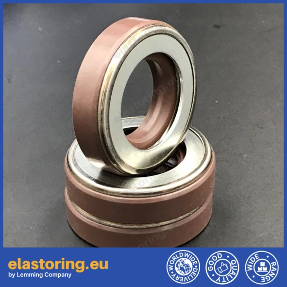 Pressure oil seal 25x45x11 TCN1 FPM Pressure oil seal 25x45x11 TCN1 FPM