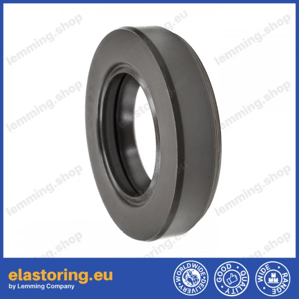 Pressure oil seal 28x48x11 TCN1 FPM Pressure oil seal 28x48x11 TCN1 FPM