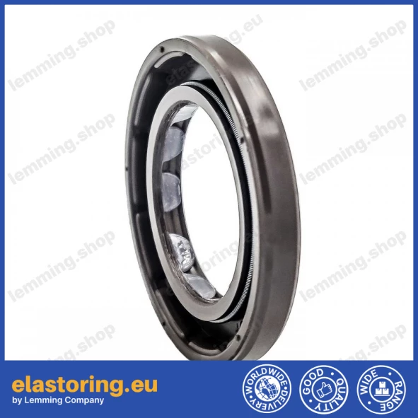 Oil seal 30x48x6 BAFSL1SF FPM