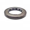 Oil seal 30x48x6 BAFSL1SF FPM