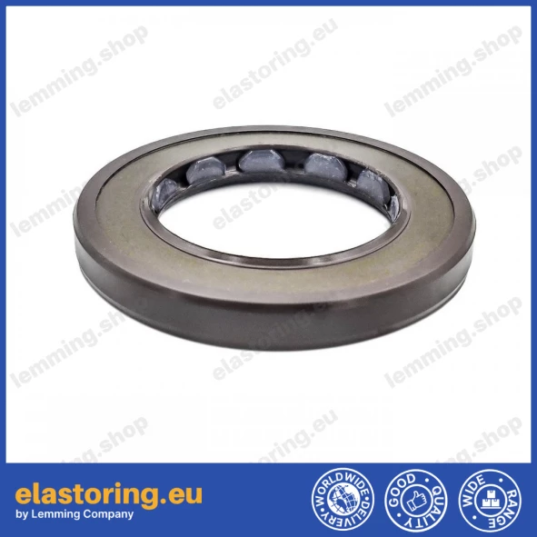 Oil seal 30x48x6 BAFSL1SF FPM