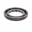 Oil seal 30x48x6 BAFSL1SF FPM