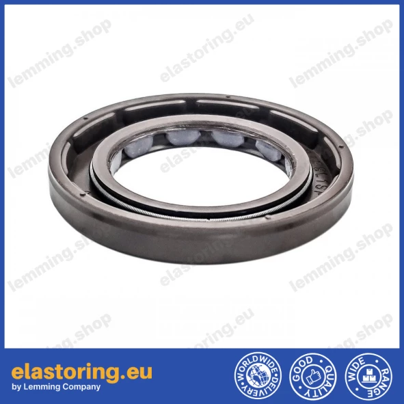 Oil seal 30x48x6 BAFSL1SF FPM