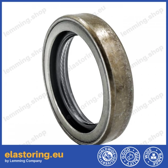 Oil seal 31,98x44,96x9 B2RSX2 ACM